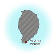 Corvo